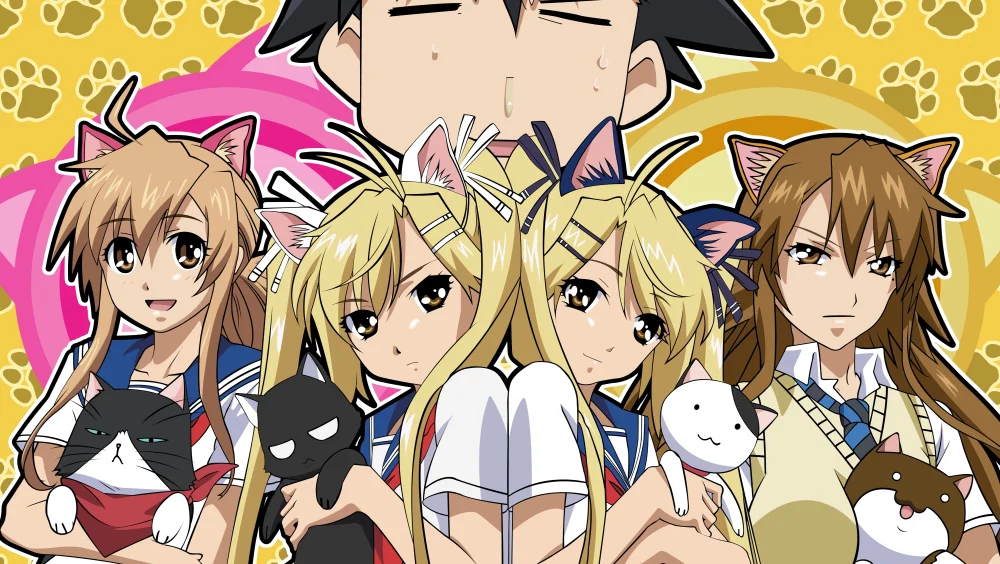 Nyan Koi